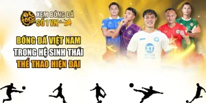Bóng Đá Việt Nam Trong Hệ Sinh Thái Thể Thao Hiện Đại