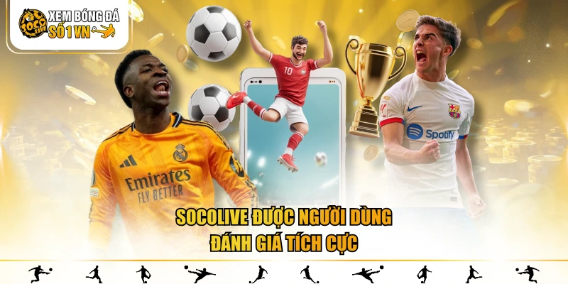 Luôn được đánh giá tích cực bởi người dùng 